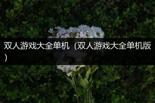 双人游戏大全单机（双人游戏大全单机版）
