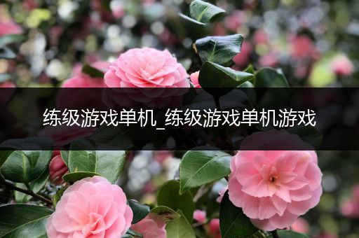 练级游戏单机_练级游戏单机游戏