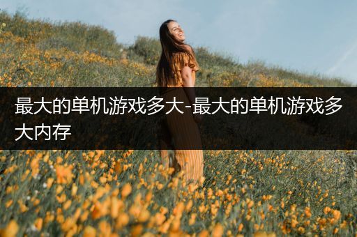 最大的单机游戏多大-最大的单机游戏多大内存