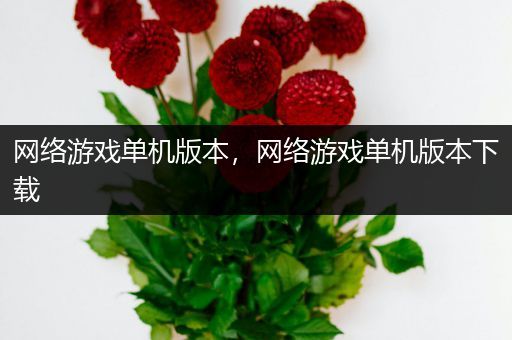 网络游戏单机版本，网络游戏单机版本下载
