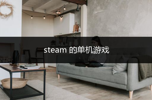 steam 的单机游戏