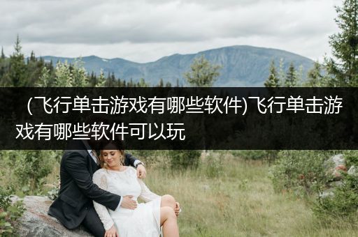（飞行单击游戏有哪些软件)飞行单击游戏有哪些软件可以玩