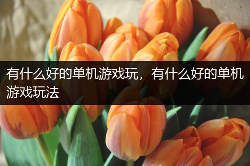 有什么好的单机游戏玩，有什么好的单机游戏玩法