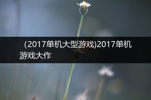 （2017单机大型游戏)2017单机游戏大作