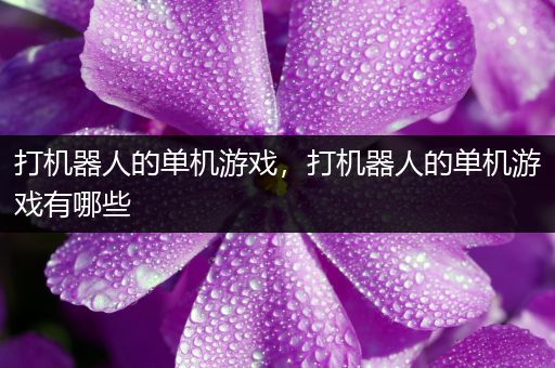 打机器人的单机游戏，打机器人的单机游戏有哪些