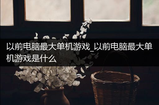 以前电脑最大单机游戏_以前电脑最大单机游戏是什么