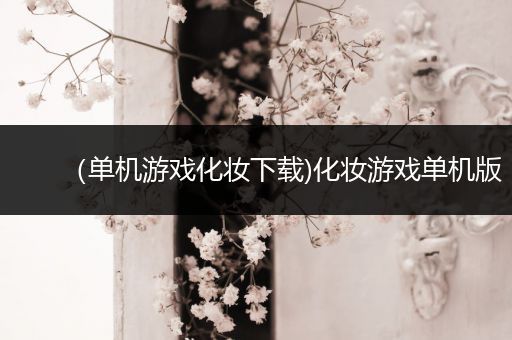 （单机游戏化妆下载)化妆游戏单机版
