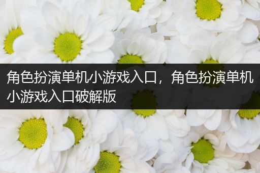 角色扮演单机小游戏入口，角色扮演单机小游戏入口破解版