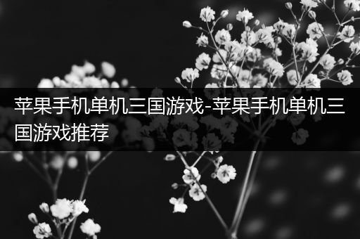 苹果手机单机三国游戏-苹果手机单机三国游戏推荐