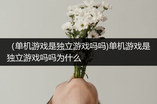 （单机游戏是独立游戏吗吗)单机游戏是独立游戏吗吗为什么