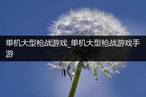 单机大型枪战游戏_单机大型枪战游戏手游
