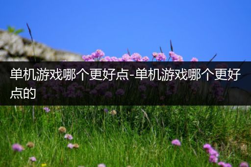 单机游戏哪个更好点-单机游戏哪个更好点的