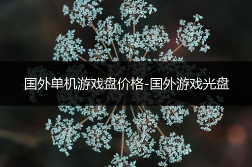 国外单机游戏盘价格-国外游戏光盘