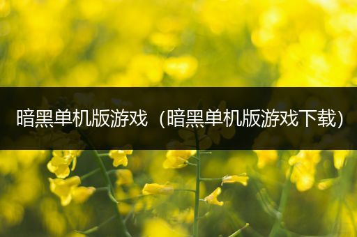 暗黑单机版游戏（暗黑单机版游戏下载）