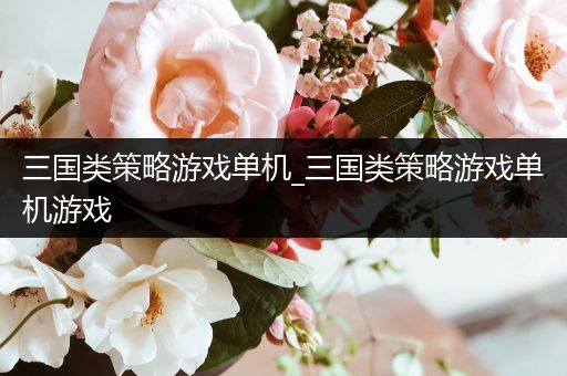 三国类策略游戏单机_三国类策略游戏单机游戏