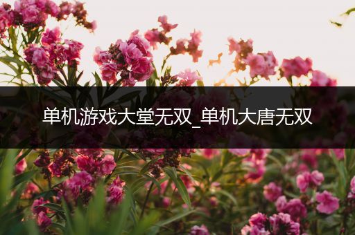 单机游戏大堂无双_单机大唐无双