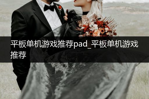 平板单机游戏推荐pad_平板单机游戏推荐