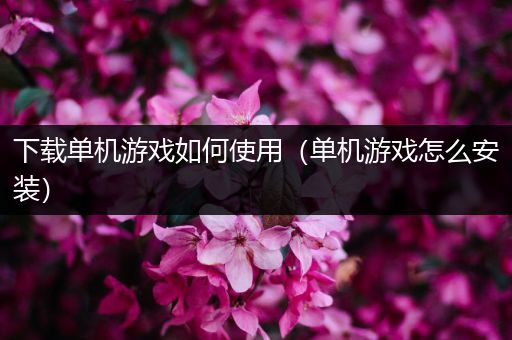 下载单机游戏如何使用（单机游戏怎么安装）