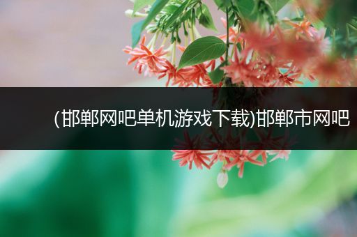 （邯郸网吧单机游戏下载)邯郸市网吧