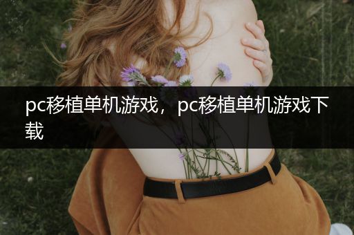 pc移植单机游戏，pc移植单机游戏下载