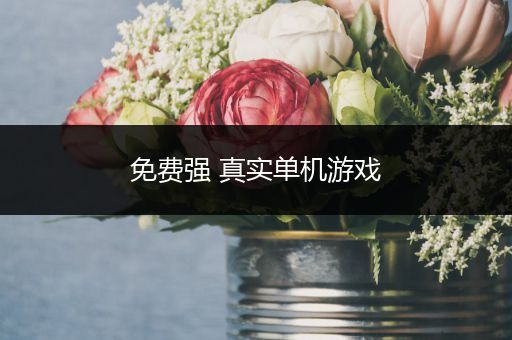免费强 真实单机游戏