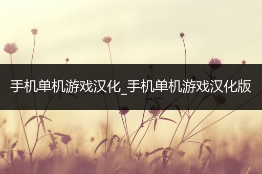 手机单机游戏汉化_手机单机游戏汉化版