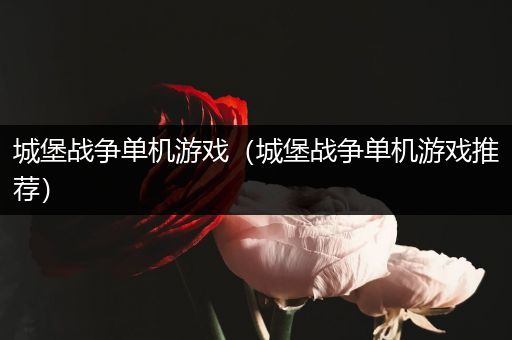 城堡战争单机游戏（城堡战争单机游戏推荐）