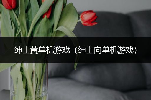 绅士黄单机游戏（绅士向单机游戏）