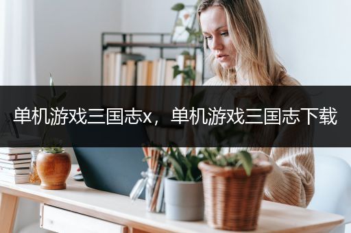 单机游戏三国志x，单机游戏三国志下载