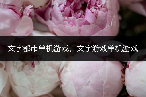 文字都市单机游戏，文字游戏单机游戏