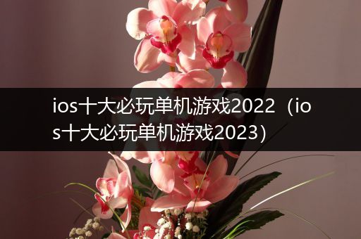 ios十大必玩单机游戏2022（ios十大必玩单机游戏2023）