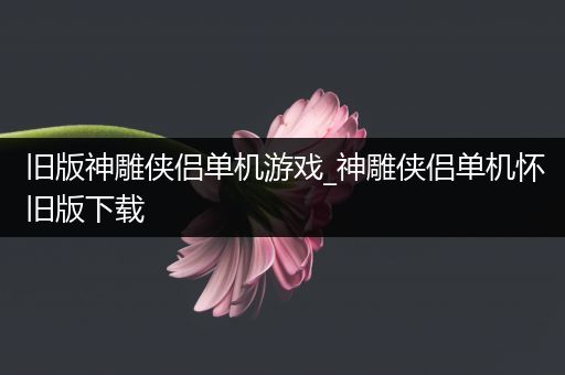 旧版神雕侠侣单机游戏_神雕侠侣单机怀旧版下载