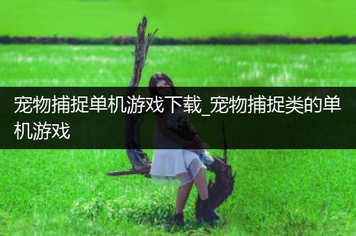 宠物捕捉单机游戏下载_宠物捕捉类的单机游戏