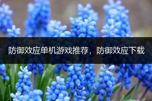 防御效应单机游戏推荐，防御效应下载