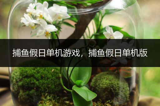 捕鱼假日单机游戏，捕鱼假日单机版