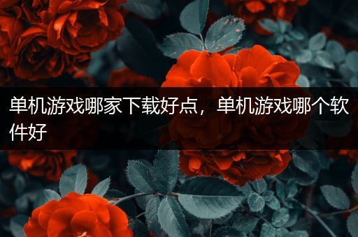 单机游戏哪家下载好点，单机游戏哪个软件好