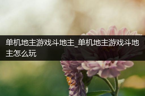 单机地主游戏斗地主_单机地主游戏斗地主怎么玩