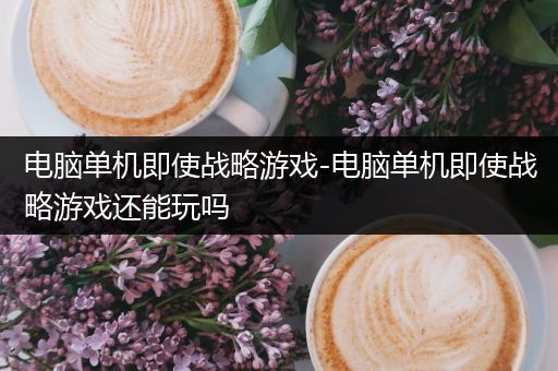 电脑单机即使战略游戏-电脑单机即使战略游戏还能玩吗