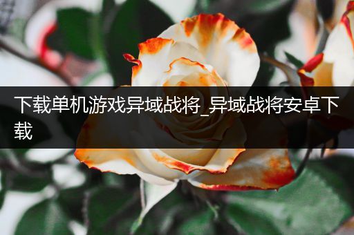 下载单机游戏异域战将_异域战将安卓下载