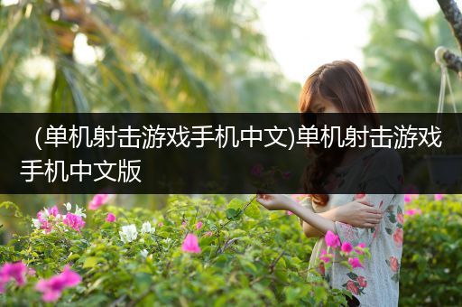 （单机射击游戏手机中文)单机射击游戏手机中文版