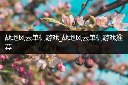 战地风云单机游戏_战地风云单机游戏推荐