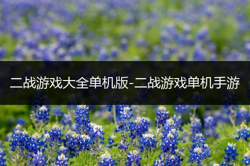 二战游戏大全单机版-二战游戏单机手游