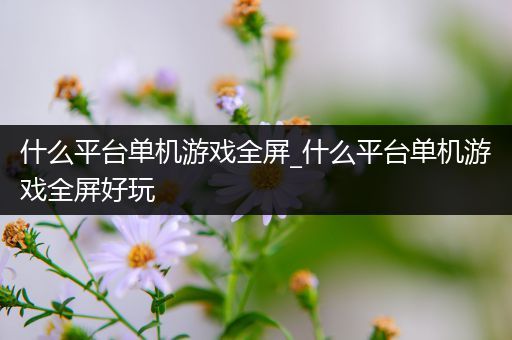 什么平台单机游戏全屏_什么平台单机游戏全屏好玩
