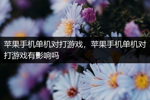 苹果手机单机对打游戏，苹果手机单机对打游戏有影响吗