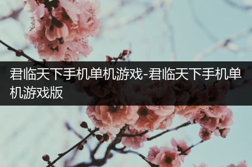 君临天下手机单机游戏-君临天下手机单机游戏版