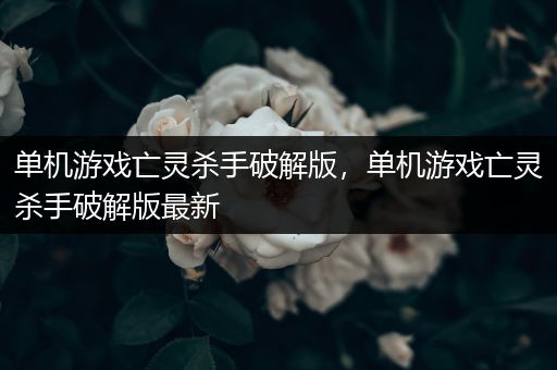 单机游戏亡灵杀手破解版，单机游戏亡灵杀手破解版最新