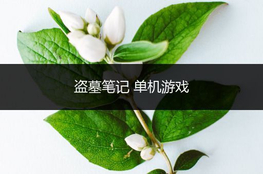 盗墓笔记 单机游戏