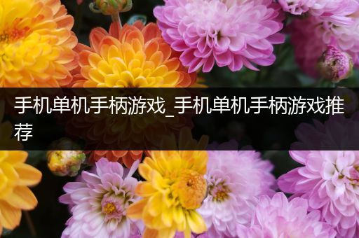 手机单机手柄游戏_手机单机手柄游戏推荐