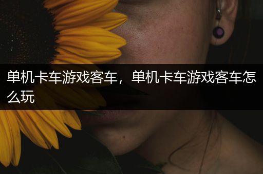 单机卡车游戏客车，单机卡车游戏客车怎么玩