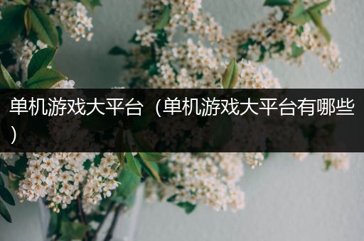 单机游戏大平台（单机游戏大平台有哪些）